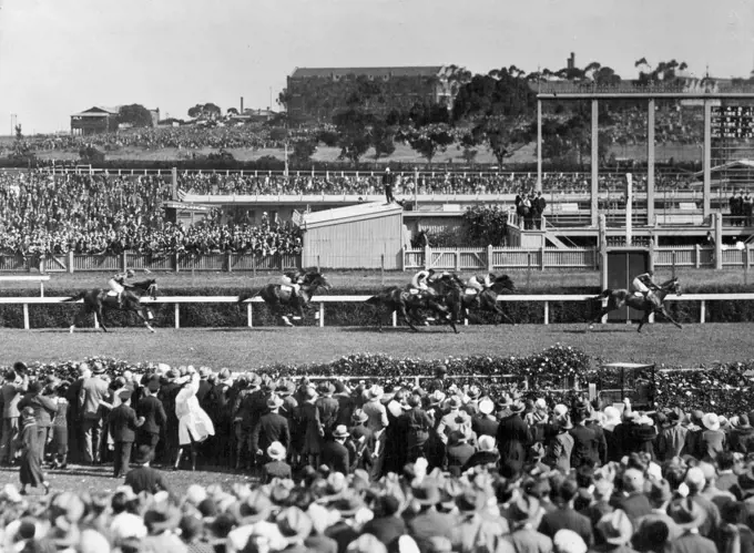 White Nose winning the Melbourne Cup. November 21, 1950.
