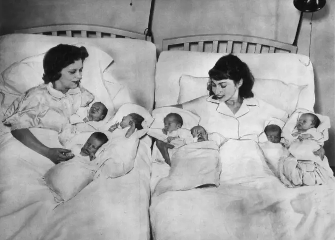 Triplets Meet Quadruplets - Two mothers and their seven babies presented this unusual scene in Sloane Hospital today as Mrs. Muriel Bachant (left) and her triplets, born March 30, and their picture taken Alongside Mrs. Harry Zarief and her quadruplets, born March 29. The left-to-right on the babies in this exclusive picture taken by the New York Daily News is as follows: Nancy Sue, Janet Lee and Karen Ann Bachant