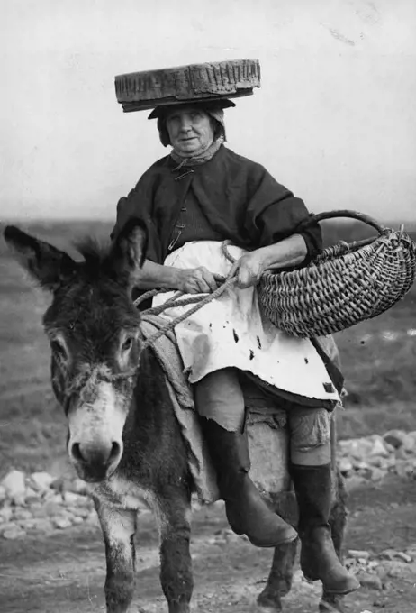 The "Cookle Women Of Penclawdd" -- A typical cockle women is Mrs. Annie Rynon, and as the tide goes out so does Mrs. Eynon on her donkey, complete with the sieve which is the chief implement of her trade. The block Atlantic winds which sweep the desolate sands of Llanrhidian do not daunt her nor the possibilities of "unexploded shells and bombs about which large notices warn her. Women wearing sieves on their heads and riding tiny donkeys and pony-carts make their living by searching for cockles left by the ebbing tide, Llanrhidian Sands, South Wales is Britain's biggest cockle centre, and the families who work the cockle beds have done so for generations. One of the cockle women of Penclawdd, Mrs. Annie Eynon. She collec's cockles on the Llaurhidrau Sands. October 23, 1947.