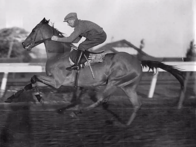 This horse won the Caulfield and Melbourne Cups in 1937. Name: The Trump. October 30, 1937.