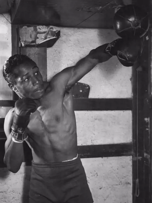 American bantam Peacock at work on the speedball in preparation for his return bout at the Stadium on Monday week against Belgian Pierre Cossemyns. Peacock beat Cossemyns on points recently. November 19, 1954.