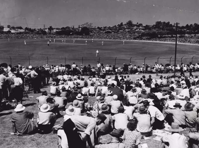 Barrackers is shirt sleeves, and poinciana trees fringing the outer, give Woolloongabba Oval a tropical air.Brisbane cricket enthusiasts are not catered for at The Gabba in the pretentious style of those in other capitals, but they can watch the game in coatless comfort under a hot sun. February 24, 1949. (Photo by The Telegram Newspapers Co. Ltd.).