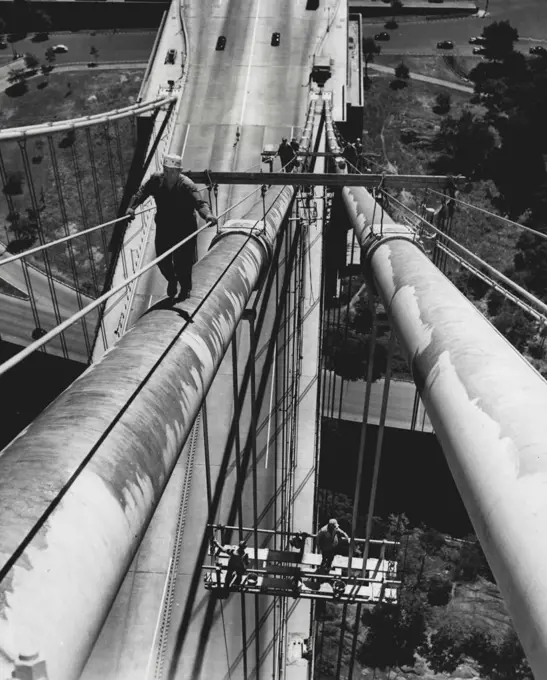 Up In The Air -- Carol G. Warren, a rigger and one of the sixty men painting the George Washington Bridge linking New York City and New Jersey, clings tightly to handrails as he walks up one of the cables of the bridge, July 26. Facing a drop of 260 to 600 feet if they slip, the painters are expected to take four years at their task. Postponed during the war because of paint shortages, the job will cost $400,000. August 26, 1946. (Photo by Associated Press Photo).