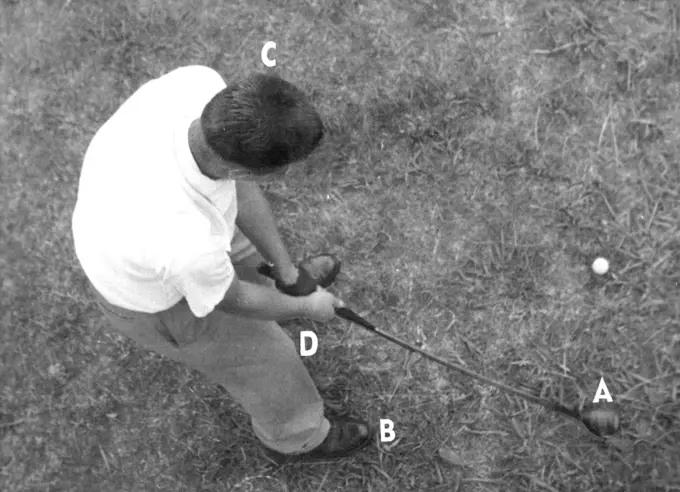 Phillips starts his three-quarter back swing. (a) club head taken along ground on lone of flight, (b) Weight has been transferred to right foot, (c) Head kept perfectly still, (d) No cocking of wrists at this stage. May 28, 1954.