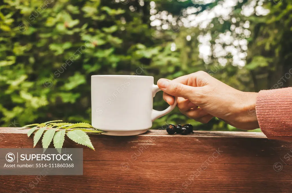 A cup of tea in the forest. The concept of outdoor recreation.