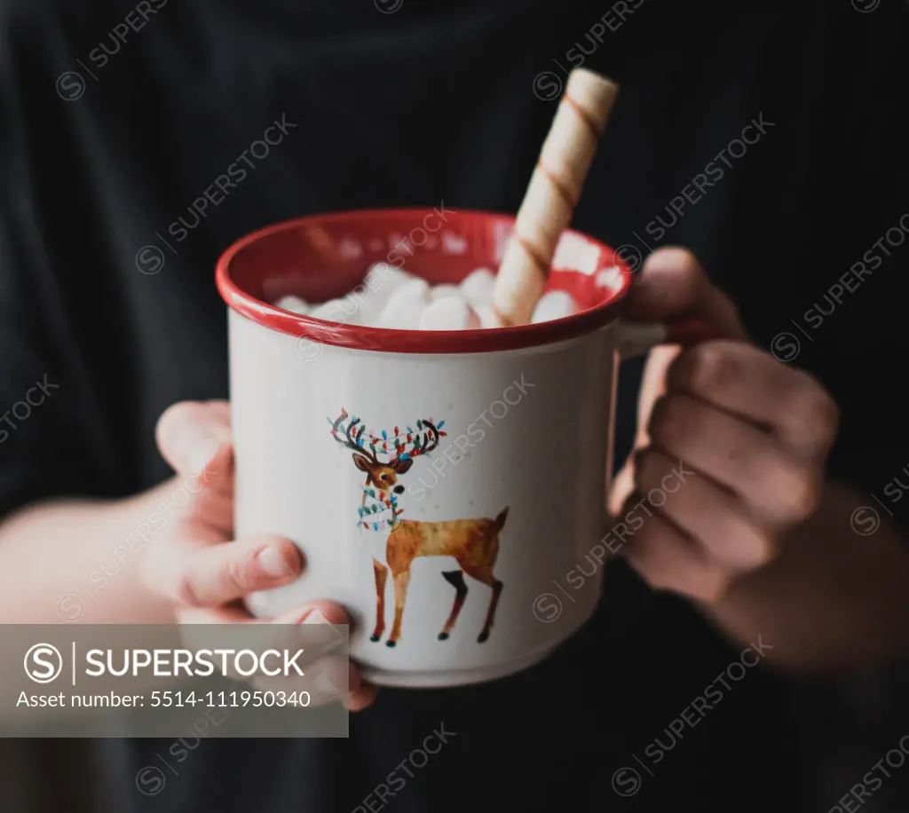 Close up of child's hands holding hot chocolate in a reindeer mug.