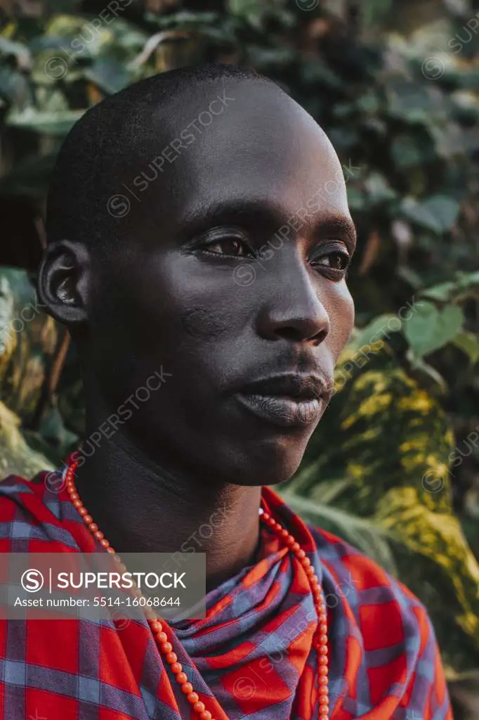 Maasai Man in traditional clothes standing in front of green leaves