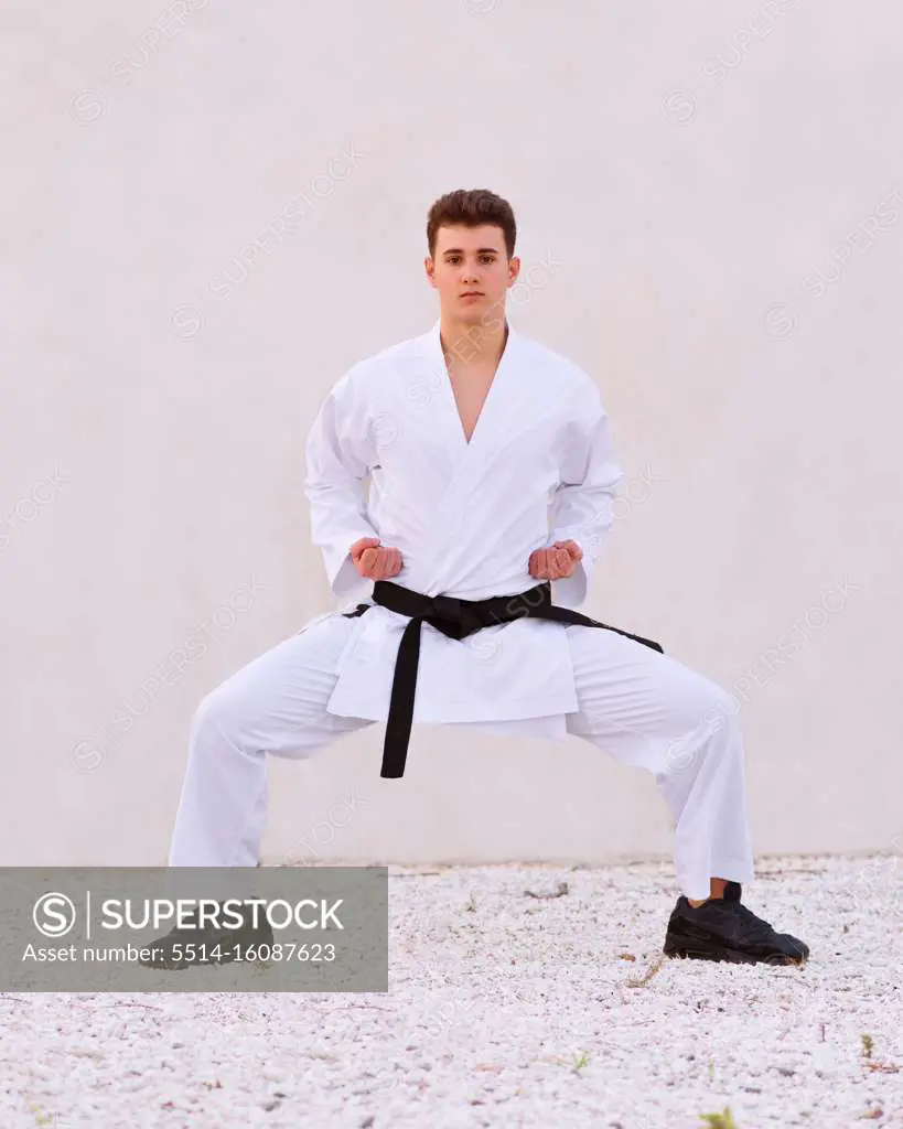 teenager boy karate expert practicing fighting positions with hi