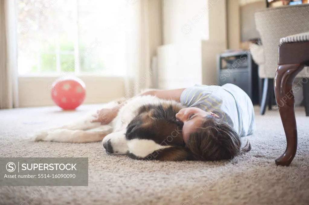Young girl laying with large Saint Bernard dog on the carpet at home