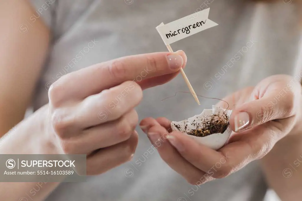 woman girl hands hold cute eggs with a plant micro greens seeds eco friendly vegan