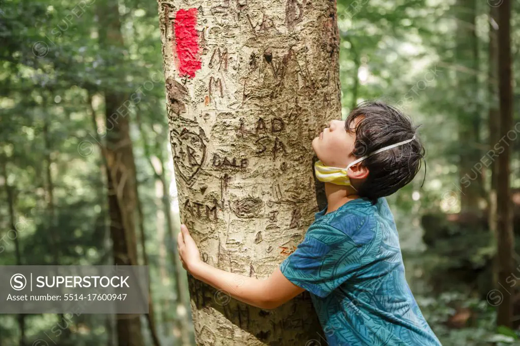 A small boy sadly hugs a tree trunk scarred with graffiti