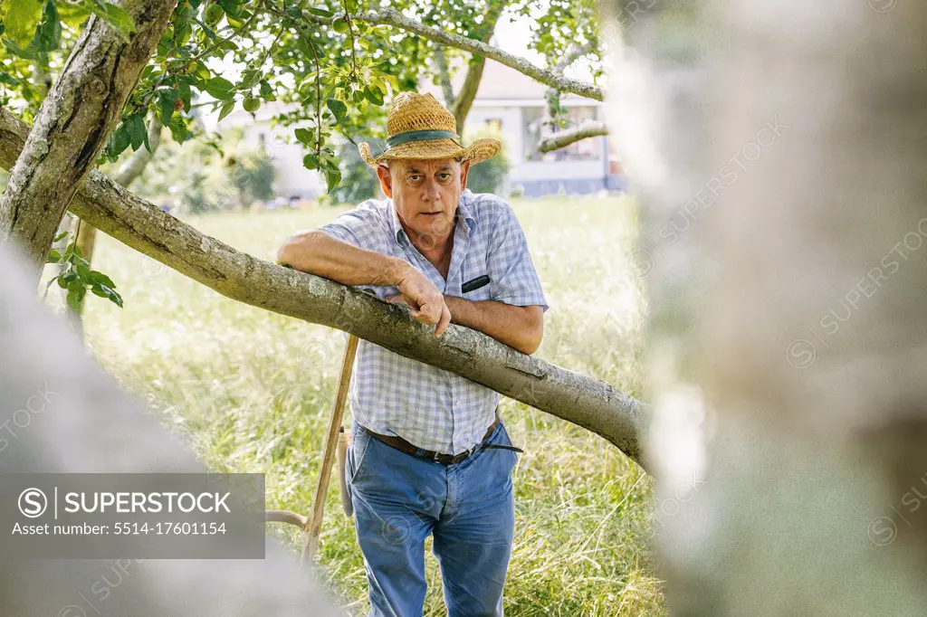 Farmer wearing hat resting on a tree. agriculture concept