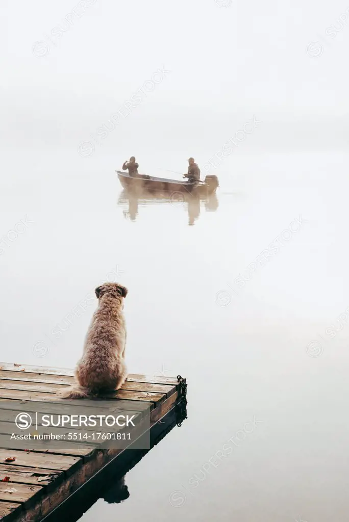 Two people in fishing boat in the fog with dog watching from the dock.