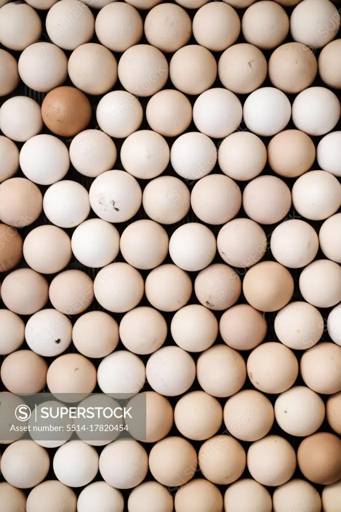 High angle close-up of many brown eggs