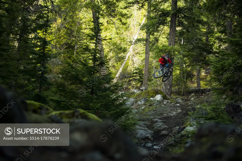 Mountain Biker jumping down mossy pnw trail in Washington