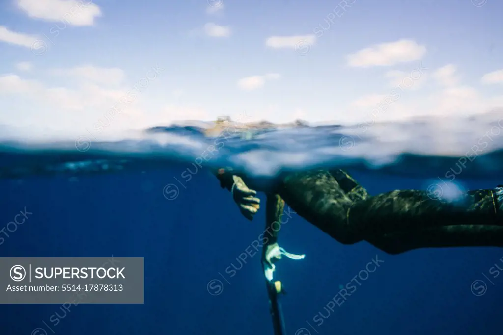 swimming fisherman holding the speargun