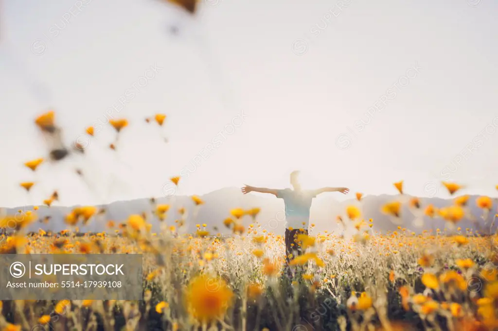 Boy in field with wildflowers with open arms and back light