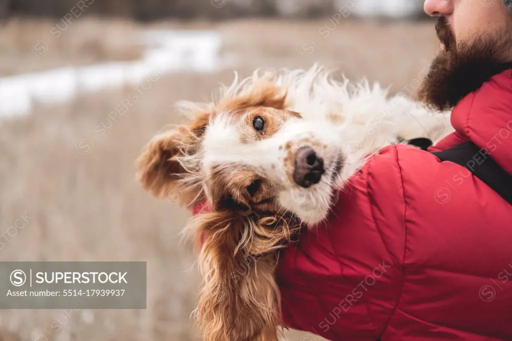 Cute dog chilling in the hands of man, winter scene
