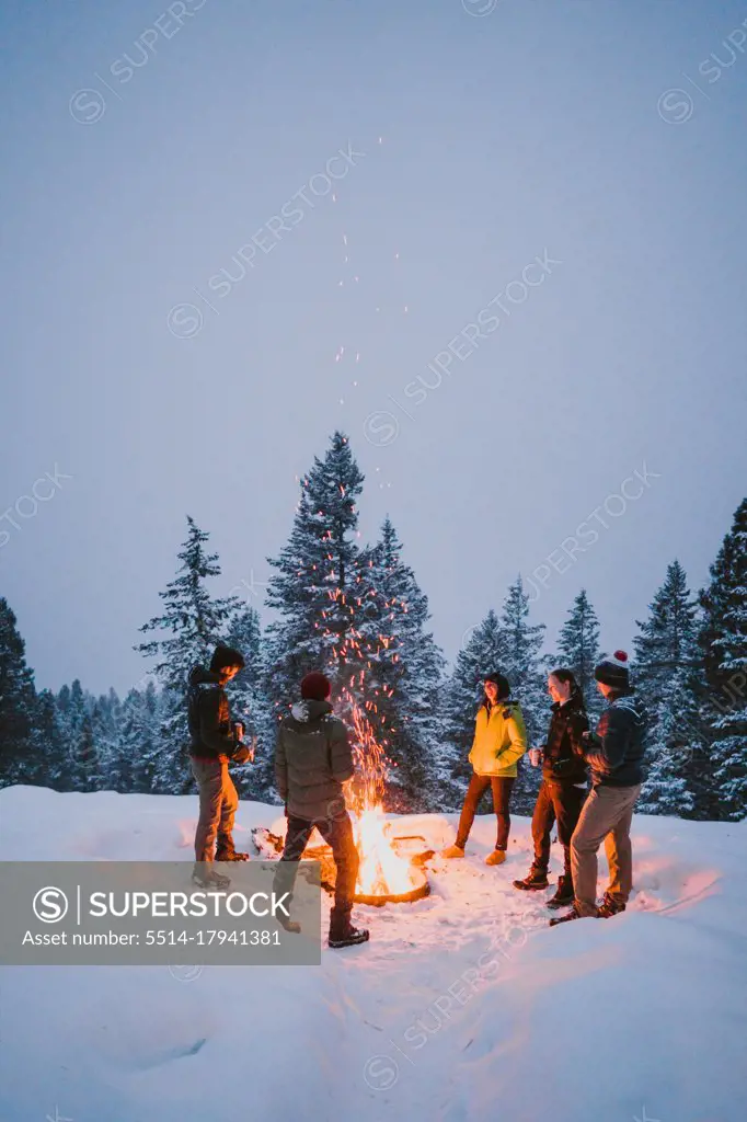 A group of friends stand around a campfire with snowy pine tree