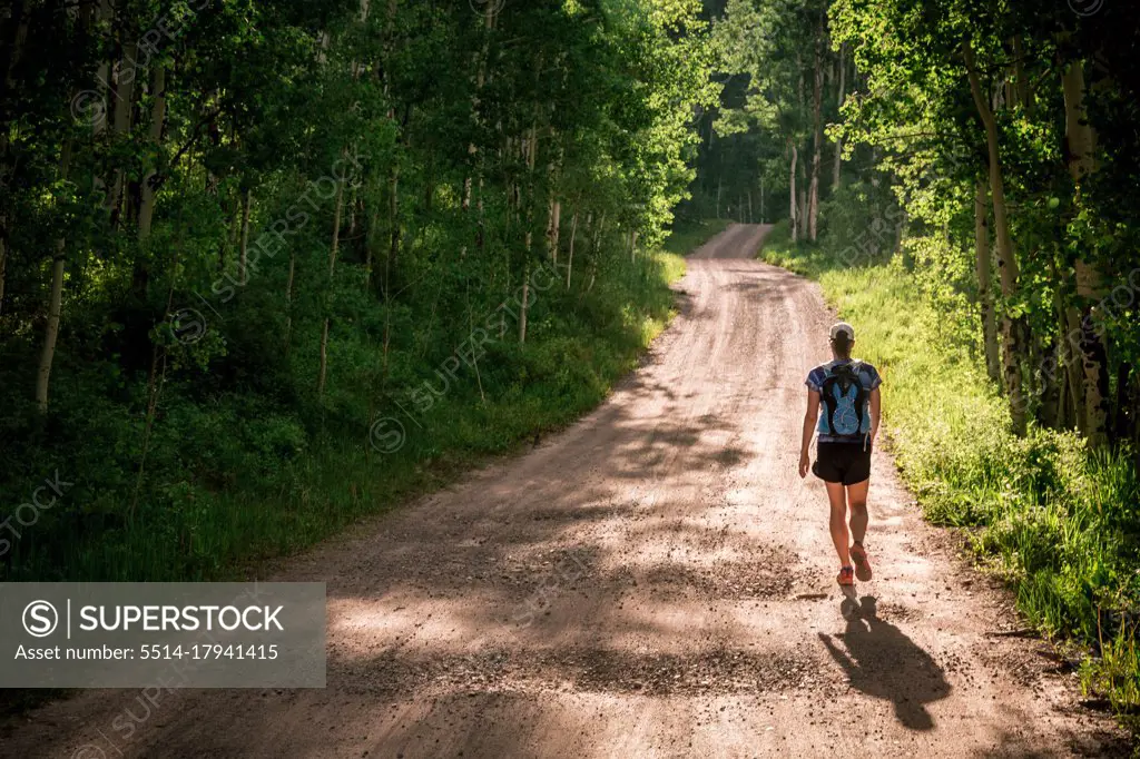 Woman hikes along a sunny dirt road surrounded by green aspen trees
