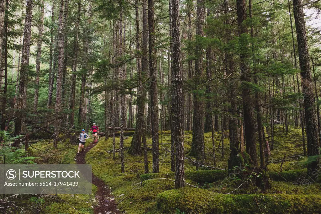 Two trail runners descend winding single track through lush forest