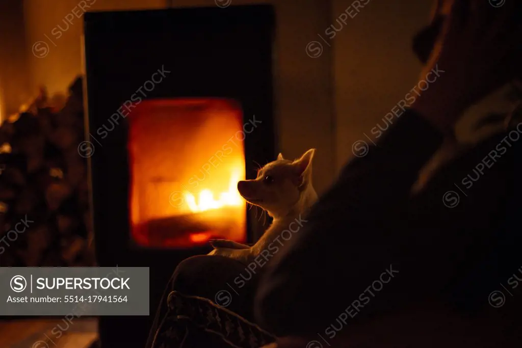 Person talks on phone by warm fire in evening with chihuahua on lap
