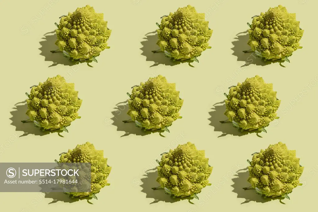 Hard light pattern of green romanesco cabbage on green surface