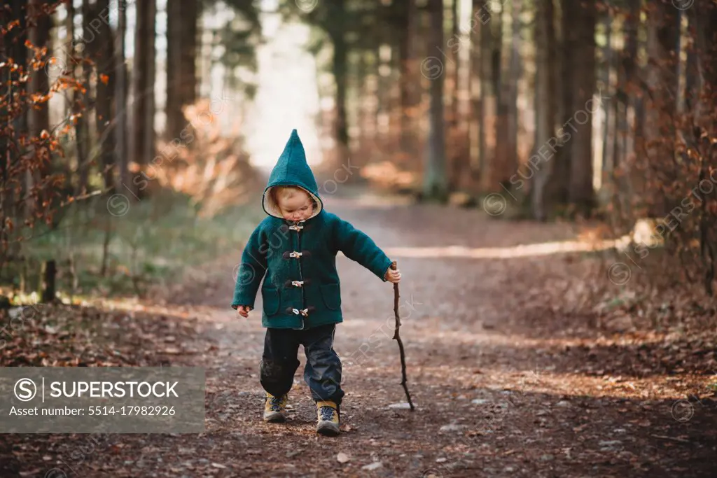 Young child walking with a stick in the forest on a sunny Fall day