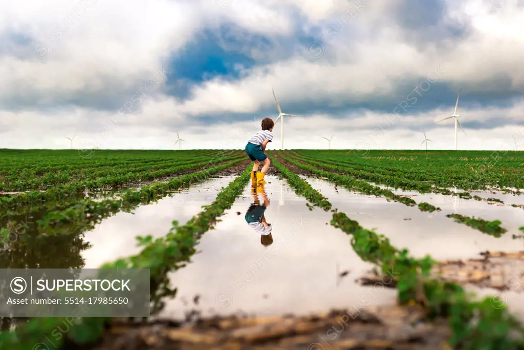 A boy squatting to look at flood waters in a soybean field wind farm