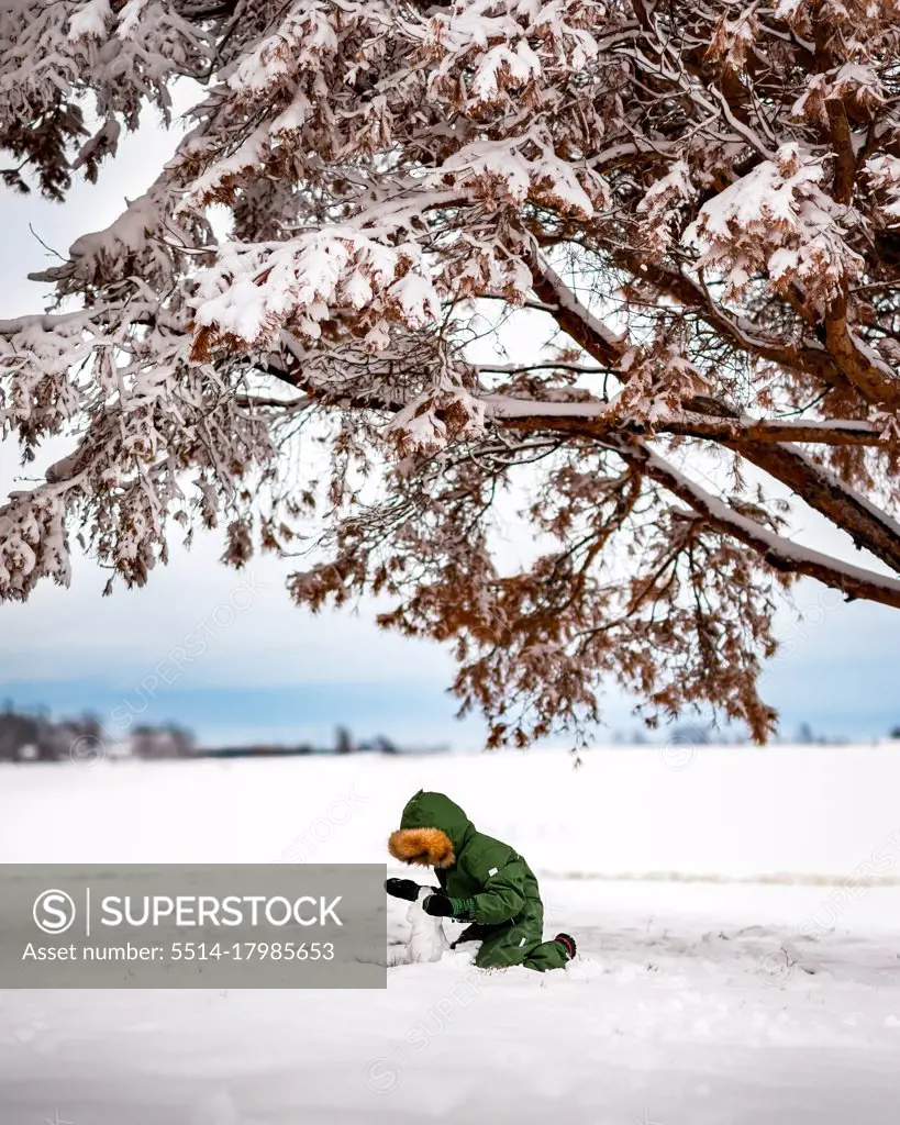 boy making small snowman under snow covered branches on a farm