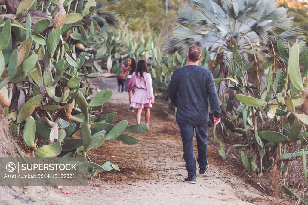 Family of four walking down a cactus trail - their back to camera.