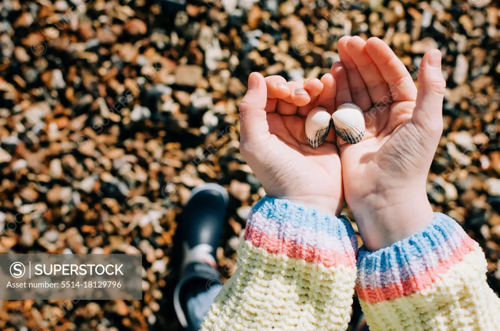child holding sea shells in her hand on a sunny day in England