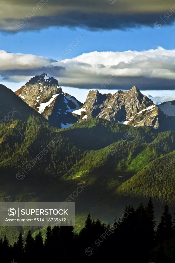 Scenic layers of lush forest, rugged mountain peaks and dramatic light