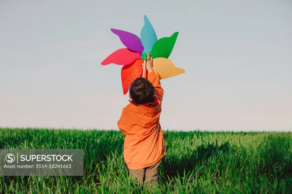 Preschooler kid play with pinwheel on green wheat field in count
