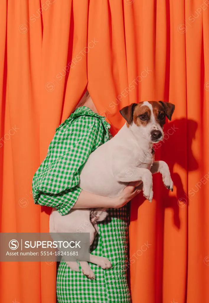 Style woman in red dress hold a dog on orange curtains