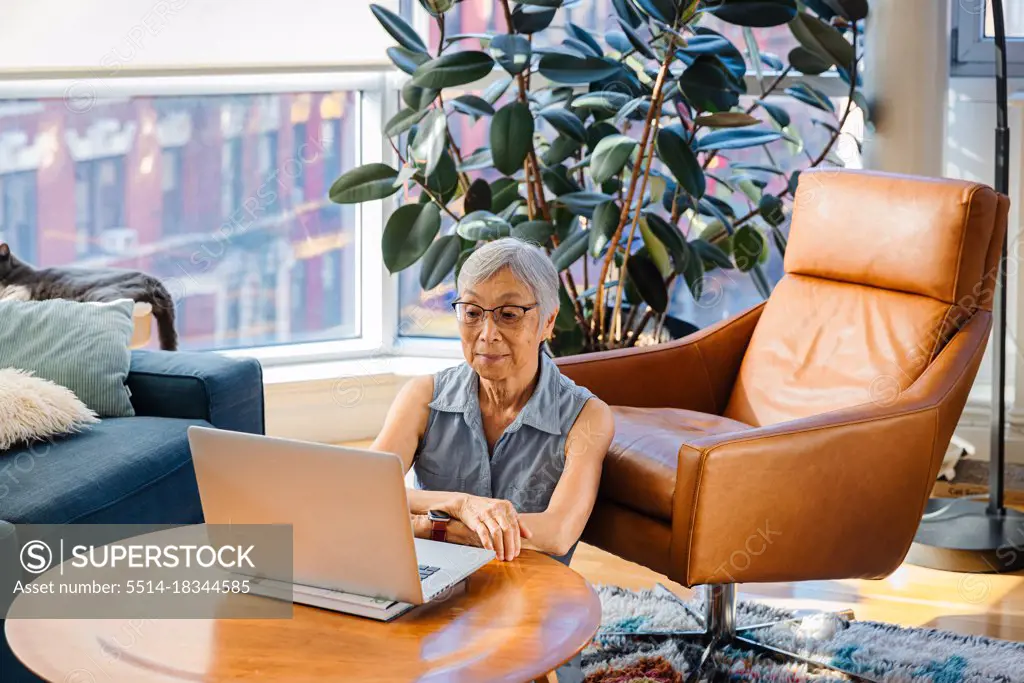 Senior Asian Woman sitting and using laptop at home in living room