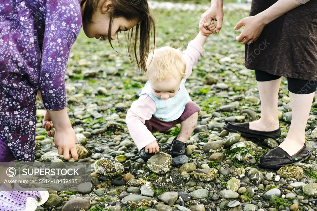 Cropped view of a family crouching down on a rocky beach in Seattle