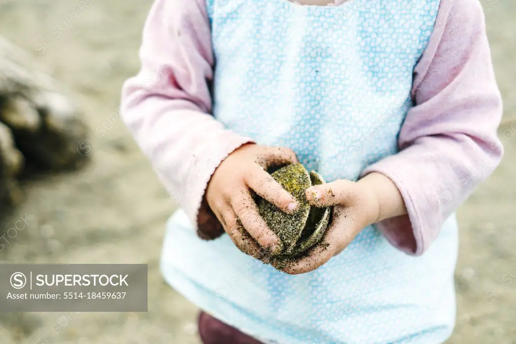 Closeup view of a child holding a clam shell at Carkeek Beach