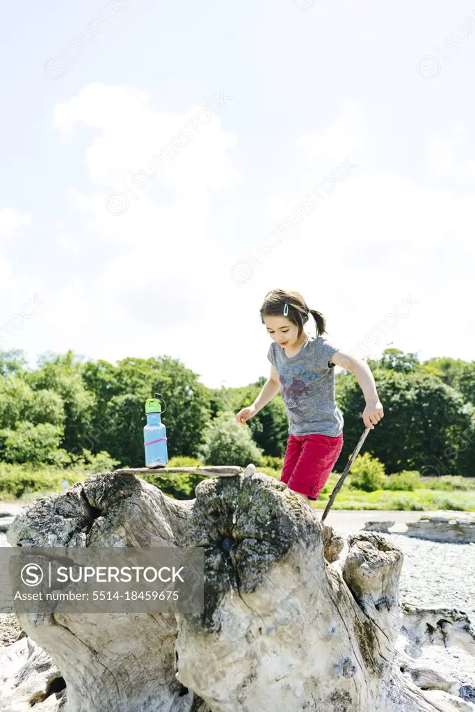 Straight on view of a young girl climbing on driftwood at the beach