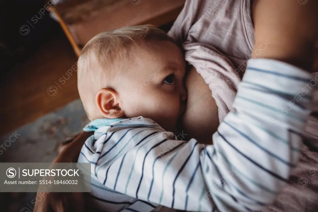 Close up of baby boy breastfeeding in cosy light