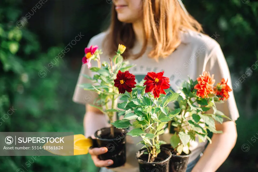 young woman  holding flower pot while working in garden