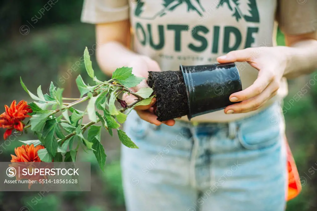 young woman  holding flower pot while working in garden