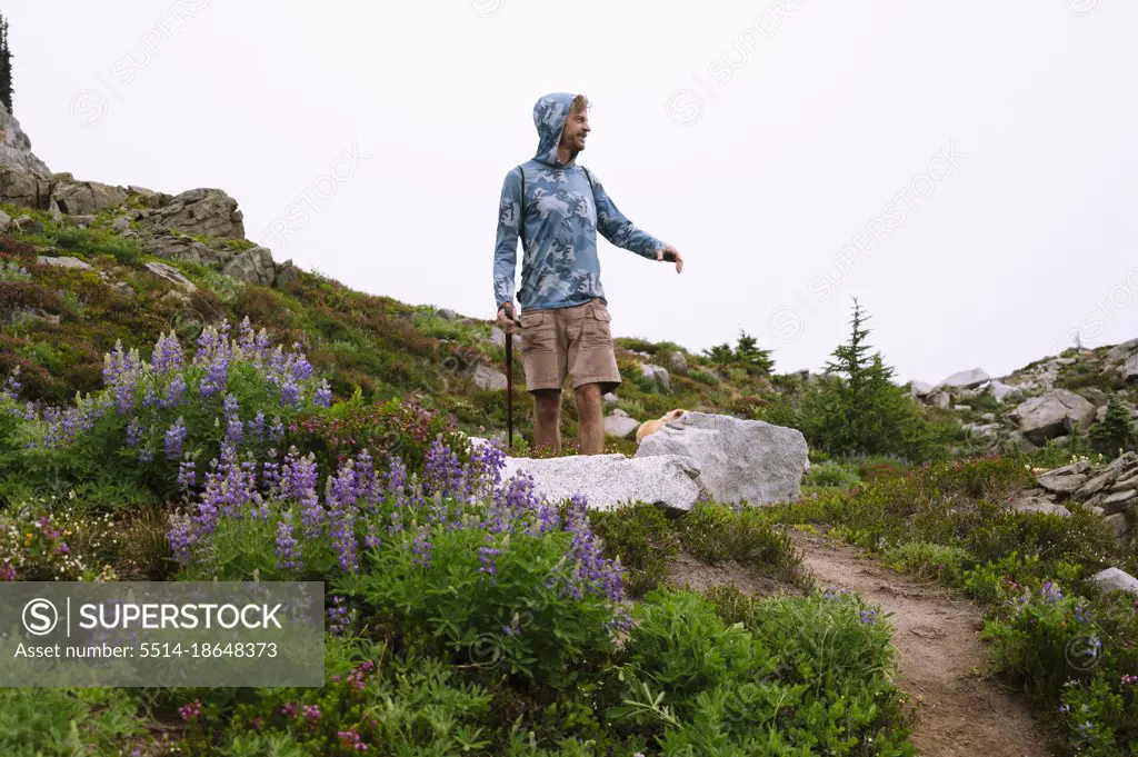 Wildflowers and hiker in the north cascades