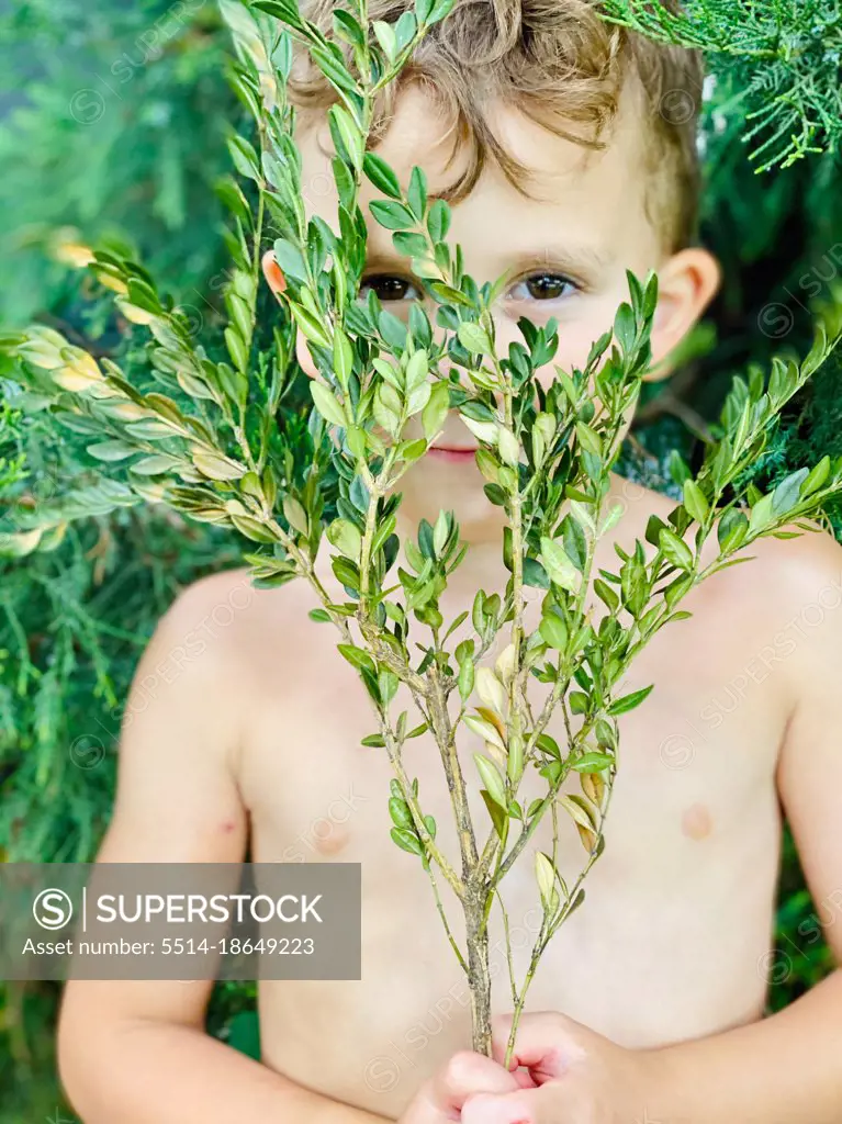 Portrait of a young boy hiding behind a branch outdoors on a sunny day