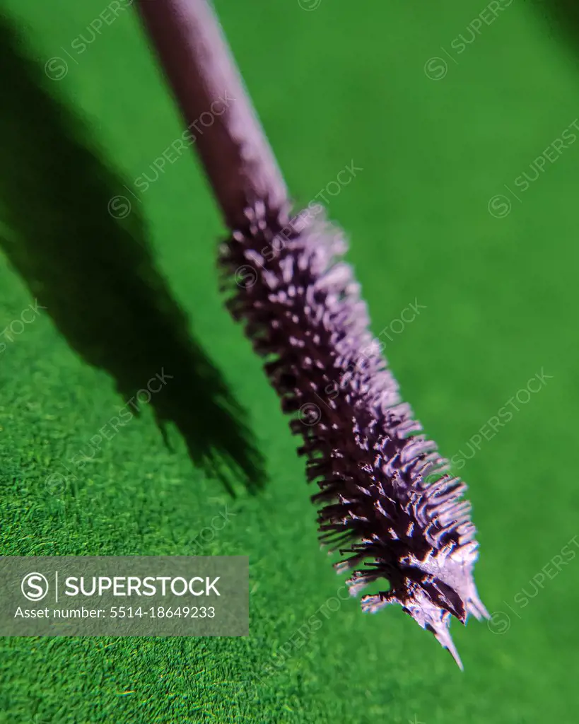 Macro photo of a brush of purple mascara on a green background