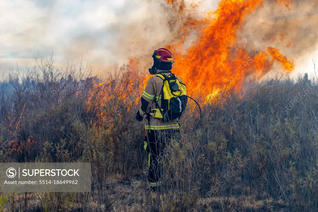 Firefighter trying to put out a forest fire