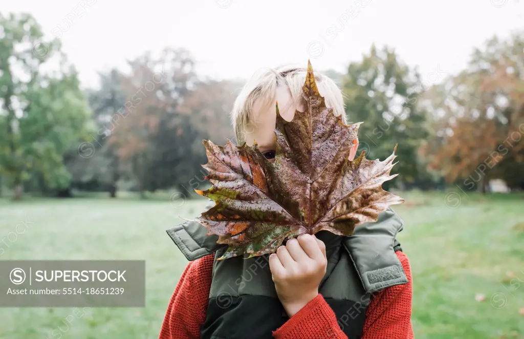 boy hiding behind a large maple leaf outdoors in autumn