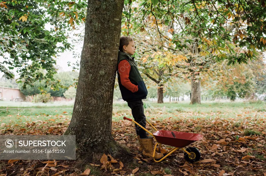 boy stood against a tree with wheelbarrow foraging in autumn