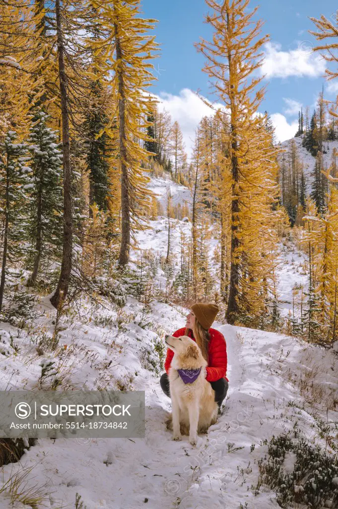 Cute Dog and Hiker Posing In a Grove of Larches