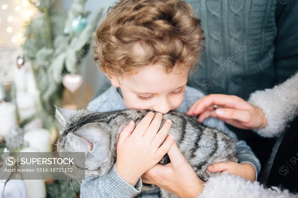 Little boy hugs and kiss gray British cat in Christmas decorated room.
